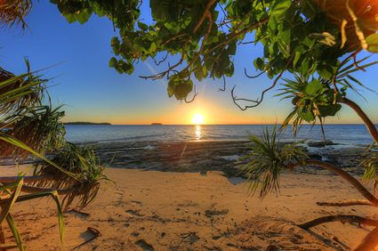 Pandanus - Eueiki Island - Vava'u - Vava'u - Tonga SQ (PB5D 00 7441)